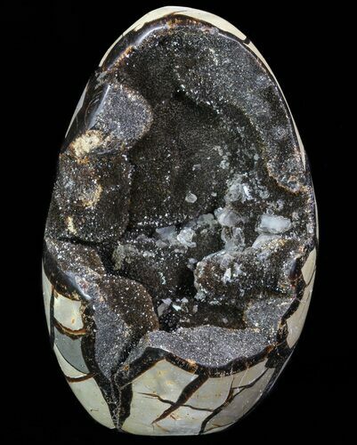 Polished Septarian Geode Sculpture - Black Crystals #73136